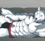 abs anthro armpit_hair big_muscles body_hair clothing male muscular muscular_anthro muscular_male pecs solo wildheit canid canine canis domestic_dog husky mammal nordic_sled_dog spitz digital_media_(artwork)