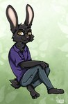 anthro black_body black_fur fur male sitting solo yellow_eyes ziegelzeig bad_guy_cafe shevron hare lagomorph leporid mammal