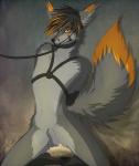 animal_genitalia anthro balls bdsm biped blush bondage bound fully_sheathed fur genitals hair male nude sheath solo submissive submissive_male nirai_(artist) canid canine fox mammal 2015