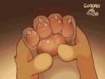 4_toes ambiguous_gender barefoot claws duo feet foot_focus foot_grab foot_rub foot_shot glistening glistening_pawpads hindpaw massage pawpads paws soles spread_toes toe_claws toes etherwuther guaoao canid canine canis domestic_dog mammal 4:3 animated frame_by_frame short_playtime