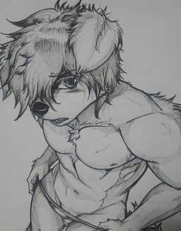 andromorph anthro athletic athletic_andromorph athletic_intersex barely_visible_genitalia barely_visible_vulva biceps black_nose blush blush_lines clothed clothing emo_haircut eyebrow_through_hair eyebrows featureless_chest genitals hair hair_over_eye intersex looking_at_viewer looking_up looking_up_at_viewer lowering_panties multicolored_body navel open_mouth panties pecs shy simple_background solo translucent translucent_hair two_tone_body underwear underwear_only undressing undressing_self vulva slaveknightsylva sylva_(slaveknightsylva) canid canine canis hybrid mammal wolfdog absurd_res hi_res monochrome traditional_media_(artwork)