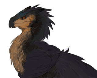 ambiguous_gender arm_feathers beak black_body black_feathers cloud-yaa feathers feral melanistic orange_eyes pupils scales simple_background slit_pupils solo tan_body tan_feathers white_background cloud-ya capcom monster_hunter bird_wyvern scalie seikret hi_res