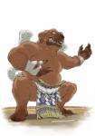 anthro asian_clothing bandage belly bodily_fluids bottomwear brown_body brown_fur clothed clothing east_asian_clothing feet fringe_bottomwear fringe_clothing fringe_trim fur humanoid_hands japanese_clothing male male_anthro mawashi sagari simple_background slightly_chubby slightly_chubby_anthro slightly_chubby_male solo sumo sweat topless white_background gku canid canine canis domestic_dog mammal 2017 hi_res