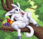 anus apple basket black_eyes breasts butt container ears_down eating eating_food female food fruit genitals guardian_spirit hi_res holding_food holding_object hooves microsoft nude orange_(fruit) ori_(ori) ori_(series) pear pivoted_ears plant pussy reclining slimefur solo spread_legs spreading tail tree white_body xbox_game_studios