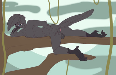 anthro anus balls beak black_body branch claws genitals hair looking_at_viewer male nude presenting presenting_anus simple_background smile solo tail chapaevv atlas_(oc) fan_character avian bird corvid corvus_(genus) crow oscine passerine raven absurd_res digital_media_(artwork) hi_res