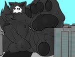 anthro balls big_balls city city_crushing erection feet foot_fetish foot_focus foreskin genitals humanoid_genitalia humanoid_penis macro male paws penis solo thiccturtles changed_(video_game) puro_(changed) canid canine mammal hi_res