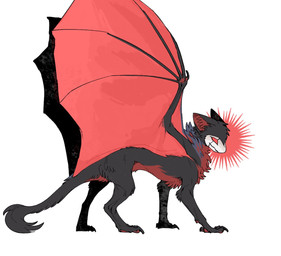 ambiguous_gender black_body black_fur empty_eyes feral fur inner_ear_fluff mouth_closed pawpads paws quadruped red_body red_eyes red_fur simple_background solo standing tail tuft white_background wings aaasakawa hollow_knight_(franchise) mythology team_cherry grimm_(hollow_knight) dragon mammal mythological_creature mythological_scalie scalie 2026 hi_res