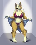 anthro big_breasts bikini breasts cleavage clothed clothing eyeshadow female half-closed_eyes knock-kneed makeup narrowed_eyes solo standing swimwear tongue tongue_out towel two-piece_swimsuit chasertech canid canine canis domestic_dog herding_dog mammal pastoral_dog welsh_corgi hi_res