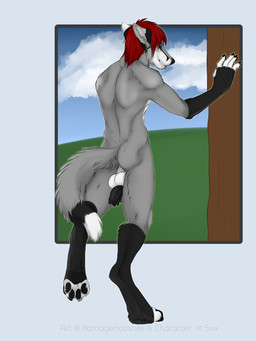 animal_genitalia animal_penis anthro balls black_body black_fur canine_genitalia canine_penis feet fingerless_(marking) fingerless_gloves_(marking) fur genitals gloves_(marking) grey_body grey_fur hair male male_anthro markings nude nude_anthro nude_male outside pawpads penis red_hair solo standing tail toeless_(marking) whisker_spots white_body white_fur themutt svix canid canine fox mammal 2015 3:4 hi_res