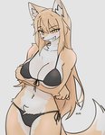 2024 anthro arm_under_breasts bikini black_bikini black_clothing black_swimwear breasts canid canine clothing collarbone dipstick_tail eyebrow_through_hair eyebrows eyelashes female fox front-tie_bikini front-tie_clothing front-tie_swimwear fur hair hi_res inner_ear_fluff kemono kloe_mone long_hair looking_at_viewer mammal markings orange_body orange_fur orange_hair rebekah side-tie_bikini side-tie_clothing side-tie_swimwear smile solo string_bikini swimwear tail tail_markings translucent translucent_hair triangle_bikini tuft two-piece_swimsuit under_boob white_body white_fur yellow_eyes