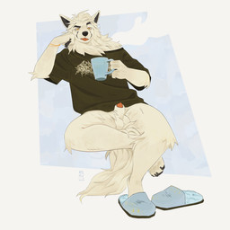 animal_genitalia anthro balls bottomless bottomless_anthro bottomless_male bracelet clothed clothing container cup footwear fur genitals holding_container holding_cup holding_mug holding_object jewelry male male_anthro mug pawpads penis penis_tip red_penis sheath shoes simple_background sitting slippers solo tail white_body white_fur yellow_eyes remulle_(artist) sennec_(character) canid canine fox mammal 1:1 2025 hi_res