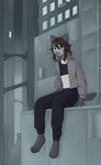 anthro blue_eyes bottomwear bridge building clothing crop_top fur grey_body grey_fur hair hoodie long_hair looking_at_viewer male pants shirt short_tail sitting solo sweatpants tail topwear window neverai valery_funika domestic_cat felid feline felis mammal siamese absurd_res hi_res