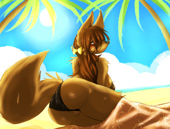 anthro beach bikini butt clothing cloud day detailed_background female fluffy genitals outside sand seaside sky solo sun swimwear towel two-piece_swimsuit vulva water saintversa canid canine mammal hi_res