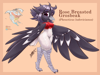 anthro avian_feet beak feathered_wings feathers feet female hair looking_at_viewer map multicolored_body purple_eyes short_hair simple_background solo tail tail_feathers talons text toes wings blasticussaturn avian rose_breasted_grosbeak absurd_res english_text hi_res signature