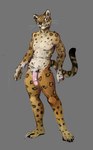 anthro claws flaccid genitals humanoid_genitalia humanoid_penis jaguar_spots looking_aside male nude penis solo toe_claws whiskers banoncat canid felid jaguar mammal pantherine 2023 hi_res