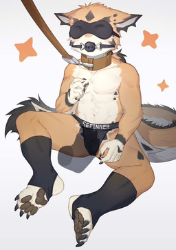 anthro athletic ball_gag bdsm bent_legs biped black_pawpads blindfold briefs briefs_only clothed clothing collar feet foot_on_crotch fur gag gagged kemono leash leash_pull leashed_collar leg_wraps male multicolored_body orange_body pawpads shota simple_background sitting solo submissive submissive_anthro submissive_male tail topless two_tone_body underwear underwear_only white_body wraps young young_anthro young_male toye2004 mythology dragon furred_dragon furred_scalie mythological_creature mythological_scalie scalie hi_res