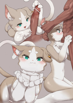 anthro biped breasts crossgender duo erection featureless_breasts female fur genitals grey_body grey_fur grey_tail inner_ear_fluff male male/female mtf_crossgender multicolored_body multicolored_fur multicolored_tail navel nude nude_female oral oral_penetration penetration penile penile_penetration penis sex tail tuft white_body white_fur white_tail xux_(artist) re:zero puck puck_(re:zero) felid feline human mammal absurd_res hi_res