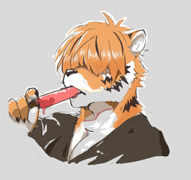 anthro black_body black_claws black_fur black_nose cheek_tuft claws countershading facial_tuft food fur glistening glistening_nose grey_background hair hair_over_eyes inner_ear_fluff male messy_hair muscular muscular_anthro muscular_male orange_body orange_ears orange_fur orange_hair pecs popsicle short_hair simple_background solo tuft unsigned white_body white_fur white_inner_ear white_inner_ear_fluff t.y.stars felid mammal pantherine tiger bust_portrait portrait