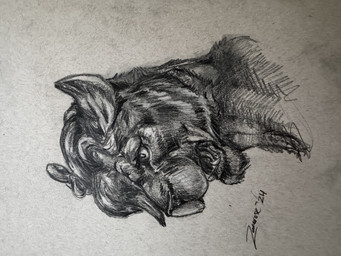 anthro female fur hair horn open_mouth sideways simple_background solo teeth zaverose deer felid feline lion mammal pantherine 4:3 absurd_res bust_portrait graphite_(artwork) headshot_portrait hi_res monochrome portrait sketch traditional_media_(artwork)