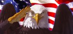 american_flag anthro beak black_claws brown_body brown_feathers claws feathers feet flag flag_background gesture looking_at_viewer male salute scales smile smiling_at_viewer solo talons toes united_states_of_america white_body white_feathers wings yellow_body yellow_eyes yellow_scales zenthetiger alcander accipitrid accipitriform avian bald_eagle bird eagle sea_eagle hi_res