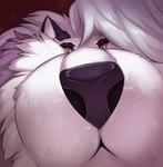 anthro close-up female fur grey_body grey_fur grey_hair hair looking_at_viewer multicolored_body multicolored_fur red_sclera sniffing solo two_tone_body two_tone_fur white_body white_eyes white_fur conditional_dnp shirsha helluva_boss mythology loona_(helluva_boss) canid canid_demon canine canis demon hellhound mammal mythological_canine mythological_creature hi_res