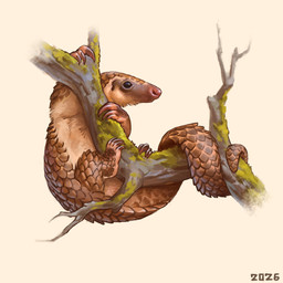 ambiguous_gender black_eyes branch brown_body brown_scales feral fur moss on_branch plant quadruped scales simple_background solo tan_body tan_fur white_background alexpahomov mammal pangolin white-bellied_pangolin 1:1 2026 digital_media_(artwork) digital_painting_(artwork) hi_res painting_(artwork)