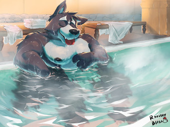 anthro bath bathing bench black_nipples black_nose bodily_fluids drooling eyes_closed fur grey_body grey_fur male multicolored_body multicolored_fur nipples saliva soap solo steam tongue tongue_out towel two_tone_body two_tone_fur water roosterbliss adastra adastra_(series) echo_project amicus_(adastra) canid canine canis mammal wolf 2022 4:3 hi_res signature