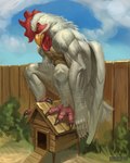 anthro beak biceps biped chicken_coop cloud day feathered_wings feathers feet fence grass male muscular muscular_anthro muscular_male muscular_thighs outside pecs plant pose quads sky solo talons thick_thighs toes vein veiny_arms veiny_muscles white_body white_feathers wings yellow_beak buckovskiart avian bird chicken galliform gallus_(genus) phasianid were wereavian werebird werechicken 2023 4:5 absurd_res digital_media_(artwork) hi_res