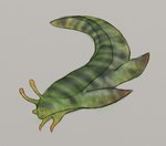 ambiguous_gender black_stripes eyestalks feral fin green_body green_scales green_skin grey_background markings orange_markings scales simple_background solo stripes swimming sarifel animorphs alien gastropod mollusk slug yeerk colored_sketch full-length_portrait portrait sketch