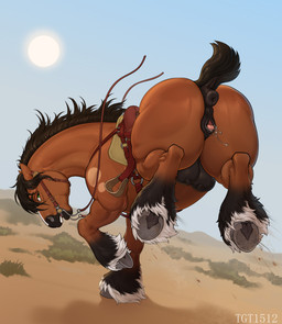 animal_genitalia animal_vulva anus black_anus black_body black_eyebrows black_fur black_hair black_nipples black_nose black_vulva bodily_fluids bridle brown_body brown_butt brown_fur bucking butt clitoral_winking clitoris crotch_breasts equine_anus equine_genitalia equine_vulva eyebrows facial_markings female female_feral feral fur genital_fluids genitals green_eyes grey_hooves hair head_markings hooves leg_tuft looking_at_viewer looking_back markings mount nipples open_mouth outside pink_clitoris plant presenting puffy_anus quadruped reins saddle sand short_tail sky smile solo spots sun tail tan_spots teats teeth tuft underhoof vaginal_fluids vulva white_body white_fur conditional_dnp tgt1512 marchall_(marschalljet) draft_horse equid equine horse mammal digital_media_(artwork) hi_res