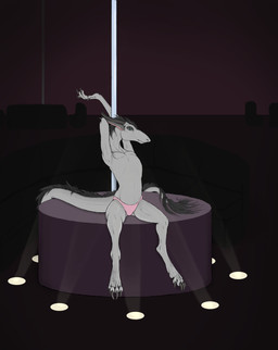 andromorph black_hair blue_eyes claws clothing detailed_background fur grey_body grey_fur hair inside intersex looking_at_viewer pecs pole sitting solo spotlight stretching stripper_pole tail thong underwear plaguelizard mythology dragon furred_dragon furred_scalie mythological_creature mythological_scalie scalie absurd_res digital_media_(artwork) hi_res