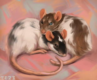 ambiguous_gender black_body black_eyes black_fur blue_eyes brown_body brown_fur cuddling duo feral fur heterochromia long_tail pink_body pink_ears pink_nose pink_paws pink_skin pink_tail quadruped tail whiskers white_body white_fur alexpahomov fancy_rat mammal murid murine rat rodent 2023