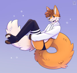 4_toes anthro black_claws black_clothing black_eyebrows black_legwear black_stockings black_underwear blush brown_eyes brown_hair brown_markings cheek_tuft claws clothed clothing cropped_hoodie eyebrows facial_tuft feet femboy fur hair hoodie legwear long_tail male markings multicolored_body multicolored_fur orange_body orange_fur panties pantsless pawpads paws short_hair smile solo stockings tail toes topwear tuft underwear white_body white_clothing white_fur white_hoodie white_pawpads white_topwear fleurfurr canid canine fox mammal red_fox true_fox colored digital_drawing_(artwork) digital_media_(artwork) hi_res shaded