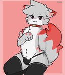 anthro biped blush bodily_fluids bulge clothing femboy fur grey_body grey_fur legwear looking_at_viewer male panties shy solo sweat thigh_highs underwear kalgayboy pengy_(pengythegamer) domestic_cat felid feline felis mammal hi_res