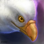 anthro beak feathers gaze looking_at_viewer male solo white_body white_feathers yellow_beak yellow_eyes dsw7 alcander accipitrid accipitriform avian bald_eagle bird eagle sea_eagle 1:1 2022 portrait