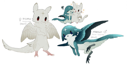 3_toes anthro avian_feet black_feet blue_body blue_feathers duo eyes_closed facial_markings feathered_wings feathers feet female female_anthro female_symbol forehead_markings gender_symbol head_markings kemono male male_anthro male_symbol markings open_mouth pink_feet red_eyes semi-anthro simple_background solid_oval_eyes standing symbol tan_markings text toes triangle_mouth white_background white_wings wings jejejunum martlet_(jejejunum) risoria_(jejejunum) avian fraid_(species) hybrid nethermare 2026 character_name digital_drawing_(artwork) digital_media_(artwork) english_text hi_res model_sheet brother_(lore) brother_and_sister_(lore) sibling_(lore) sister_(lore)
