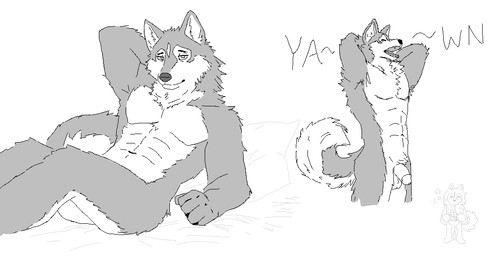 abs anthro genitals looking_at_viewer male open_mouth penis reclining solo standing yawn too_much_radio canid canine canis domestic_dog husky mammal nordic_sled_dog spitz sketch