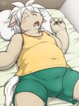 4_fingers anthro bed bulge clothed clothing fingers fur furniture hair kemono male on_bed open_mouth overweight overweight_anthro overweight_male pillow shota sleeping solo tail topwear yellow_clothing yellow_topwear young young_anthro tsuchi_dash touma_(tsuchi_dash) equid equine horse mammal 3:4 hi_res