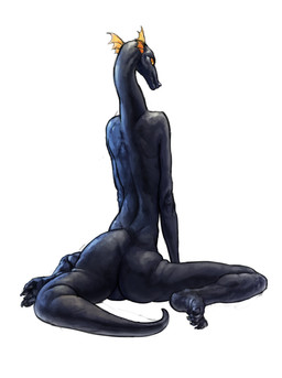 anthro black_body black_skin butt claws feet frill_(anatomy) long_neck long_torso male nude orange_eyes pupils rear_view simple_background sitting skinny slim slit_pupils soles solo spread_legs spreading tail toe_claws white_background cettus european_mythology mythology fritjof dragon mythological_creature mythological_scalie scalie western_dragon 2025 absurd_res hi_res