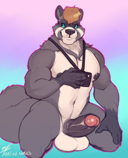 anthro balls biped camera erection foreskin fur genitals hair humanoid_genitalia humanoid_penis kneeling male muscular muscular_anthro muscular_male nipples pecs penis smile solo vein marlon.cores mammal procyonid raccoon