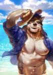 abs anthro beach beard black_nose bottomwear brown_eyes brown_hair clothed clothing facial_hair fur grey_body grey_fur hair hairy hat headgear headwear male muscular muscular_anthro muscular_male mustache nipples open_clothing open_mouth open_shirt open_topwear pecs sea seaside shirt shore sky solo straw_hat tan_body tan_fur topwear water nviek5 canid canine canis domestic_dog mammal wolf hi_res