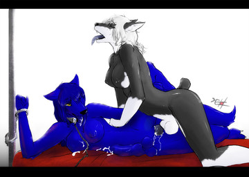 animal_genitalia animal_penis anthro anthro_on_anthro anthro_penetrated anthro_penetrating anthro_penetrating_anthro balls bdsm biped black_body black_fur black_nipples black_nose black_penis blue_balls blue_body blue_breasts blue_ears blue_fur blue_hair blue_nipples blue_penis blue_tail blue_tongue blue_vulva bodily_fluids bondage bound breasts canine_genitalia canine_penis collar cuff_(restraint) cum cum_in_vagina cum_inside cum_while_penetrated docked_tail dominant dominant_gynomorph dominant_intersex drooling duo erection eyes_closed fur genital_fluids genitals gloves_(marking) grey_body grey_breasts grey_collar grey_ears grey_fur grey_nipples grey_penis grey_tail grey_tongue gynomorph gynomorph/herm gynomorph_penetrating gynomorph_penetrating_herm gynomorph_penetrating_intersex hair handcuffs herm herm_penetrated intersex intersex/intersex intersex_penetrated intersex_penetrating intersex_penetrating_herm intersex_penetrating_intersex iris kneeling knot leash leg_glider_position leg_markings lying markings metal_cuffs monotone_body monotone_breasts monotone_fur monotone_genitals monotone_hair monotone_penis monotone_tail multicolored_body multicolored_breasts multicolored_fur nipples nude on_side open_mouth orgasm penetration penile penile_penetration penis pointy_ears precum prick_ears puffy_nipples pupils raised_leg restraints saliva sex shackles sheath short_hair short_tail simple_background snout socks_(marking) straddling submissive tail teeth tongue tongue_out two_tone_body two_tone_breasts two_tone_fur vaginal vaginal_penetration vulva white_background white_balls white_body white_breasts white_fur white_hair white_sheath yellow_eyes seth-iova jekka liquorice_black canid canine canis dobermann domestic_dog mammal pinscher digital_media_(artwork) hi_res letterbox signature