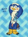 abs anthro armpit_hair athletic athletic_male balls bird_penis blue_body body_hair clothing clothing_aside feathers genitals male nude solo stretching tail tail_feathers onikuma_(artist) animal_crossing nintendo ace_(animal_crossing) avian bird 3:4