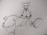 anthro bikini bikini_top clothing dipstick_tail female food fruit humor markings melon plant pubes_exposed pun solo stem swimwear tail tail_markings two-piece_swimsuit visual_pun watermelon unknown_artist canid canine fox mammal 4:3 absurd_res hi_res monochrome