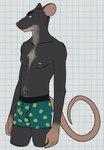 anthro bedroom_eyes biped black_body black_eyebrows black_fur blue_clothing blue_underwear body_hair boxers_(clothing) boxers_only bulge checkered checkered_background claws clothed clothing curled_tail eyebrows fur happy_trail long_tail looking_aside male male_anthro multicolored_body narrowed_eyes navel nipples partially_clothed partially_clothed_male pattern_background pattern_clothing pink_body pink_inner_ear pink_nipples pink_nose pink_skin seductive short_fur simple_background skinny slim solo standing tail tan_body tan_fur teeth topless underwear underwear_only whiskers white_background white_claws unsafescapewolf echo_(series) echo_project the_smoke_room ralph_(the_smoke_room) mammal murid murine rat rodent 2024 digital_drawing_(artwork) digital_media_(artwork) hi_res portrait three-quarter_portrait