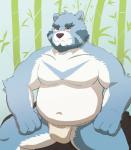 anthro asian_clothing belly biped blue_body blue_fur bulge clothing east_asian_clothing fundoshi fur humanoid_hands japanese_clothing male moobs navel overweight overweight_anthro overweight_male sitting solo underwear white_body white_fur dasoowolf bonasiah full_attack sophring_jie bear mammal 2019 absurd_res hi_res