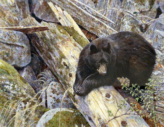 black_body duo feral log looking_down outside plant realistic rock sitting tree wood geordie_millar bear black_bear mammal ursine painting_(artwork) traditional_media_(artwork) traditional_painting_(artwork)