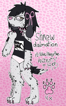 :< ambiguous_gender anthro bodily_fluids bow_ribbon claws clothing collar countershading cute_fangs eyewear fangs floppy_ears freckles glasses markings mottled mottled_nose pattern_background pink_background pink_claws pronouns simple_background solo spiked_collar spikes spots spotted_markings sweat teeth text jackrabbit_(artist) shrew_(jackrabbit) arthropod beetle canid canine canis dalmatian domestic_dog grub_(insect) insect larva mammal stag_beetle 2025 absurd_res album_cover character_name cover hi_res model_sheet signature