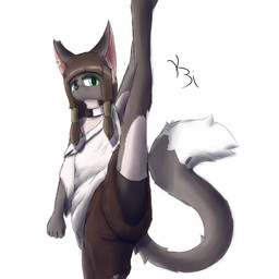 accessory anthro bangs blue_eyes bottomwear breasts brown_hair choker clothing digitigrade ear_piercing female fluffy fluffy_tail fur grey_body grey_fur hair hair_accessory heterochromia inner_ear_fluff jewelry long_hair multicolored_body multicolored_fur necklace one_shoulder_out piercing pupils raised_leg shirt shorts slit_pupils small_breasts snout solo tail topwear tuft two_tone_body two_tone_fur white_body white_fur yellow_eyes y3i mae_(y3i) domestic_cat felid feline felis mammal 1:1 absurd_res hi_res trans_(lore) trans_woman_(lore)