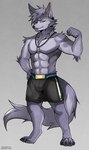 anthro bottomwear bulge clothed clothing dog_tags gradient_background male muscular pose shorts shorts_only simple_background solo topless midnight_blue canid canine canis mammal wolf absurd_res hi_res